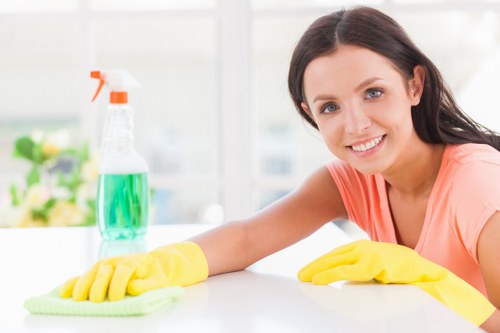 Professional carpet cleaning in a Sudbury home removing deep dirt from carpet fibers