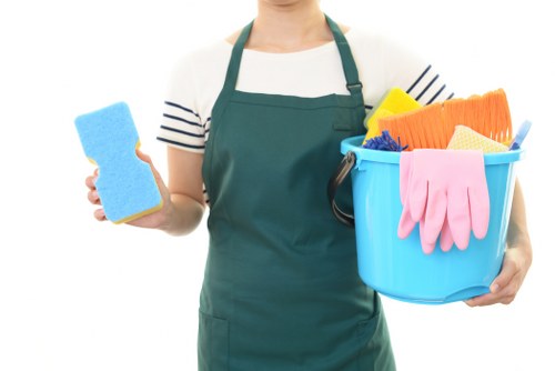 Professional Sudbury carpet cleaners offering clear pricing and quote information