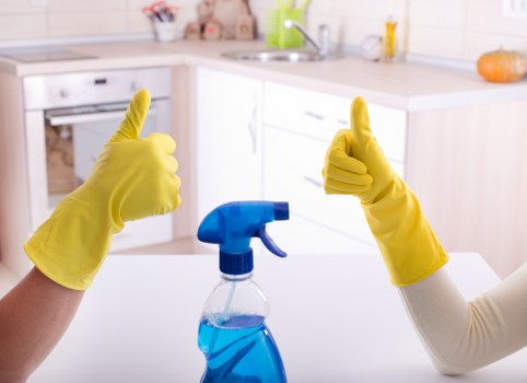 Close-up of professional mattress cleaning process in Sudbury home