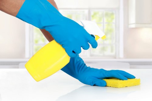 Secure payment area for Sudbury Carpet Cleaners with encrypted checkout