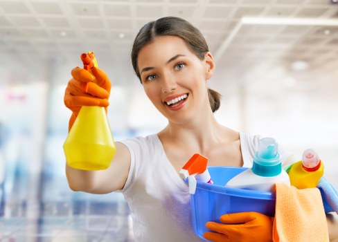 Professional Sudbury carpet cleaners introducing their company and service values