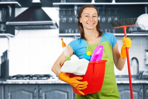 Complaint assessment and resolution for carpet cleaners