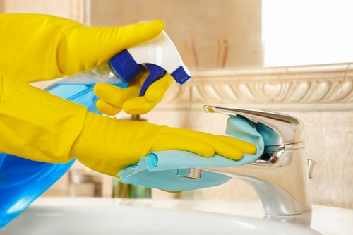 Professional pet stain odour removal in Sudbury for carpet cleaning