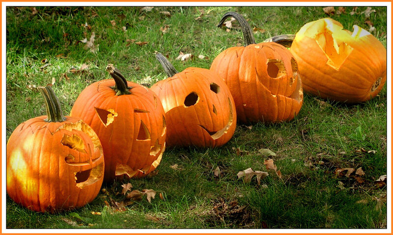 carpet cleaning carpet cleaners